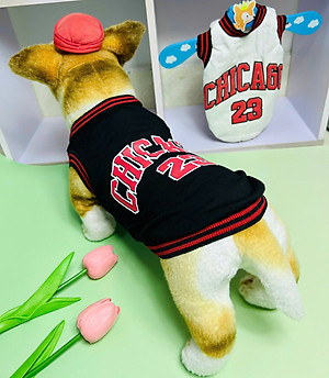 ÁO CHICAGO SANG XỊN DÀNH CHO THÚ CƯNG CHÓ MÈO
