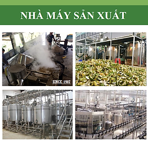 Tinh dầu gỗ Đàn Hương nguyên chất 100% từ thiên nhiên - KingOil