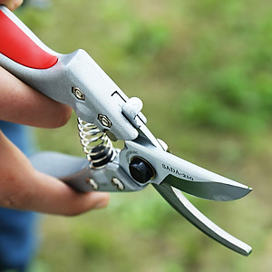Kéo cắt cành SADA - 210