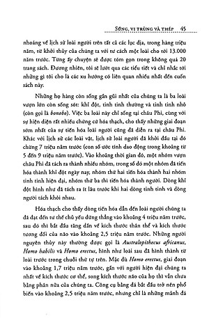 Súng, Vi Trùng Và Thép (Tái Bản)