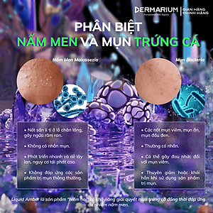 Serum (Tinh Chất) Giảm Viêm Cho Da Mụn Dermarium Liquid Amber