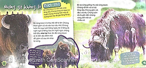 Sách Độc Lạ Phi Thường - Loài Ăn Chay