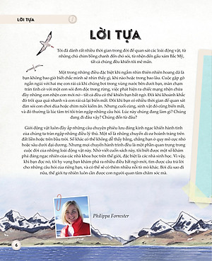 Sách - Amazing Animal Journeys - Những Chuyến Di Cư Và Hành Trình Phi Thường Nhất! - Bìa Cứng