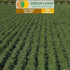 Hạt Giống Đậu Bắp Greenhome, Gói 10gr, Dễ Trồng Quanh Năm, Nảy Mầm Cao, Thu Hoạch Nhanh, Năng Suất Cao T06