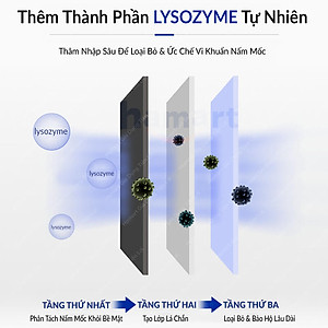 Chai Xịt Tẩy Mốc Tường Nhà 500ml LKB Tẩy Sạch Nấm Mốc Hiệu Quả Tiện Lợi Hàng Chính Hãng