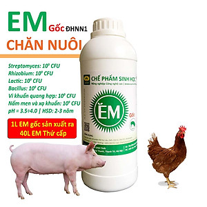 Chế phẩm sinh học EM gốc. Dùng cho Nông Nghiệp Sạch. Men vi sinh Đại Học Nông Nghiệp 1 Hà Nội. Chứa hàng tỷ bào tử hữu hiệu. Từ 1 lít EM gốc sản xuất ra 40 lít EM thứ cấp