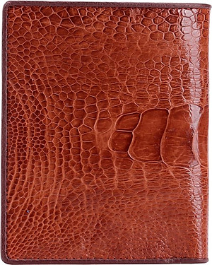 Ví Nam Huy Hoàng HT2412 (10 x 12.5 cm) - Vàng Bò