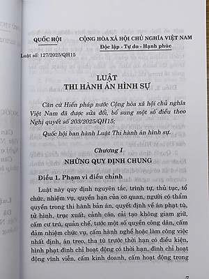 Luật Thi Hành Án Hình Sự (Hiện Hành)