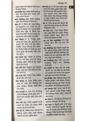 Sách - Từ Điển Tiếng Việt Thông Dụng