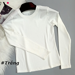 Áo giữ nhiệt nữ thun tăm thu đông cổ tròn Vicci co giãn 4 chiều, ôm sát cơ thể tạo vóc dáng thon gọn