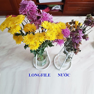 Hủ 1KG Bột Dinh Dưỡng Hoa Lâu Tàn dành cho Shop Hoa, Vựa Hoa hiệu Longlife SG nhập khẩu Israel, giúp bảo quản hoa cắm MUD tươi gấp 2 lần bình thường và Hạn chế thay hoa định kỳ