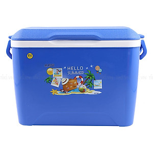 Thùng Đá Duy Tân (85L)