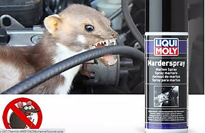 CHAI XỊT CHỐNG CHUỘT - ĐUỔI CHUỘT CHO XE Ô TÔ - XE MÁY LIQUI MOLY MARDER SPRAY 1515 - 200ML Made in Germany