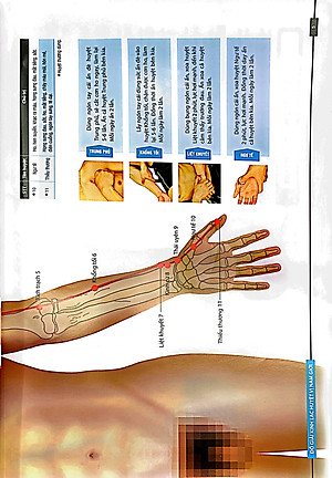 Sách Đồ giải Kinh Lạc Huyệt Vị Nam giới