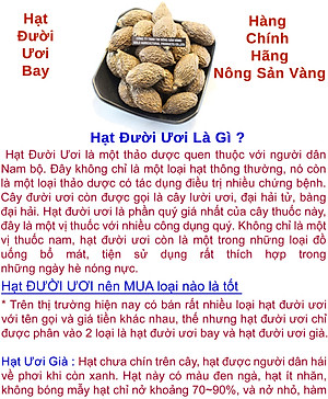 Hạt Đười Ươi Bay 100gr - Nông Sản Vàng