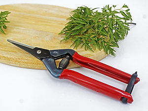 Kéo tỉa cành cao cấp Nhật Bản  Chikamasa T-55SC chiều dài lưỡi 48mm - lưỡi thép không gỉ chất lượng cao siêu bén - Cắt ngọt, không bám dính, liền sẹo nhanh