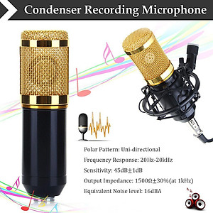 Micro Thu Âm Zansong BM- 900 - Hàng nhập khẩu