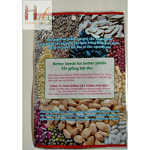 PN - Hạt Giống Xà Lách Búp Đăm, Cuốn Búp Chắc, Kháng Bệnh, Chịu Mưa - Trồng Rau Xanh Rau Sạch Bằng Đất Sạch, Mùn Dừa