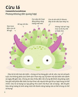 100++ Bí Ẩn Về Tự Nhiên - Những Động Vật Kỳ Diệu Nực Cười Nhất