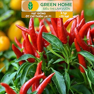 Hạt Giống Ớt Chỉ Thiên Greenhome, Gói 1gr, Sai Trái, Siêu Cay, Dễ Trồng Quanh Năm, Nảy Mầm Cao, Thu Hoạch Nhanh G10