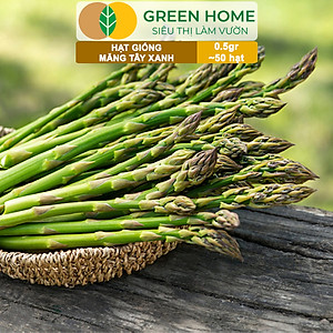 Hạt Giống Măng Tây Xanh Greenhome, Gói 0.5g~50 hạt, Dễ Trồng Quanh Năm, Nảy Mầm Cao, Thu Hoạch Nhanh, Năng Suất Cao T19