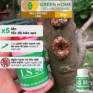 Keo Liền Sẹo LS50 Cho Cây Greenhome, Liền Nhanh Vết Cắt Da Cây, Chiết Cành,  Bonsai, Lan, Kiểng Lá