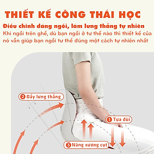 Ghế Công Thái Học Chống Gù, Điều Chỉnh Tư Thế Trẻ Em, Học SInh, Sinh Viên, Văn Phòng Legaxi