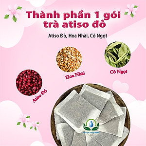 Trà Hoa Atiso đỏ hộp 30 Túi Lọc x 3Gram của Siêu Thị Thiên Nhiên