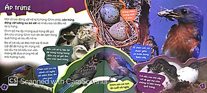 Sách Độc Lạ Phi Thường - Thú Con Bé Bỏng