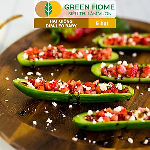 Hạt Giống Dưa Leo Baby Greenhome, Gói 5 Hạt, Trái Suôn Dạng Chùm Giòn Ngọt, Dễ Trồng Quanh Năm, Năng Suất Cao T01