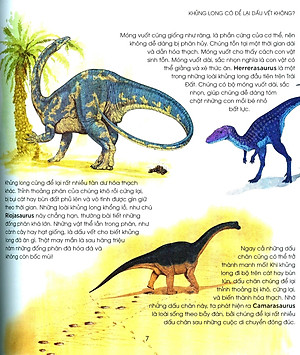 Sách Bạn Có Biết: Khủng Long Có Đẻ Trứng Không? - Hỏi Đáp Về Bò Sát Thời Tiền Sử