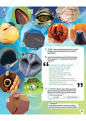 English Plus: Level 1: Student's Book 1