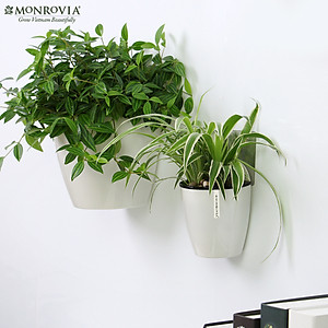 Chậu tự tưới treo tường MONROVIA, trang trí trong nhà, ban công, tiện lợi, sang trọng, tiêu chuẩn châu Âu