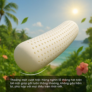 Gối Ôm Cao Su Kim Cương Honey KCGO20100 (20 x 100 cm) - Trắng