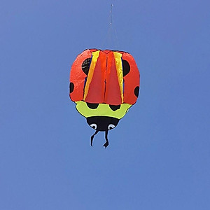 Diều khí động học cá voi - TẶNG tay cầm thả diều 150 mét dây + túi đựng diều (diều giá rẻ, diều thả, diều sỉ lẻ)