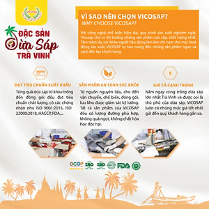 COMBO 3 hộp Dừa sáp sấy giòn cao cấp VICOSAP ít đường đồ ăn vặt healthy đặc sản Trà Vinh