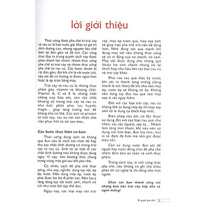 Sách Bí Quyết Pha Chế Sinh Tố & Nước ép Trái Cây (Tái Bản)