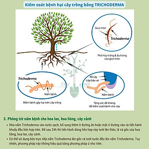 Chế phẩm men vi sinh nấm Trichoderma loại 1kg mã PM027. ĐIỀN TRANG - TRICHO 1000G