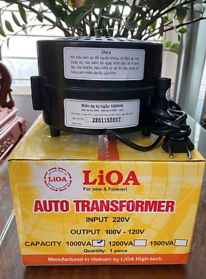 Biến Áp Đổi Nguồn Hạ Áp 1P - 1.0kVA Lioa DN010