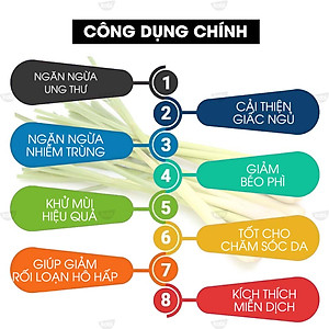 Tinh Dầu Sả Chanh 100ml Kobi Giúp Đuổi Muỗi, Khử Mùi, Thơm Phòng - Tinh Dầu Thiên Nhiên Nguyên Chất - Tinh Dầu Xông Phòng