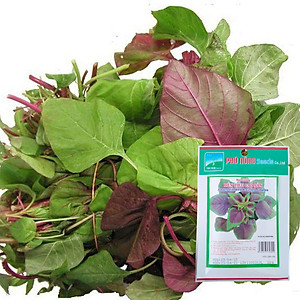 Hạt Giống Dền Tiều Cao Sản Phú Nông