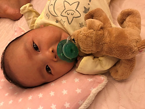 NÚM TI ĐỒ CHƠI NOOKUMS TỪ MỸ CHO BÉ