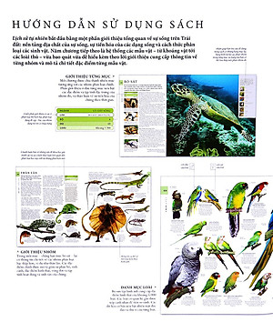Sách Lịch Sử Tự Nhiên