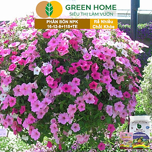 Phân bón NPK 16-12-8-11S+TE Greenhome, Better, Bao 1kg, Phát Triển Nhanh Thân, Cành, Lá, Bộ Rễ