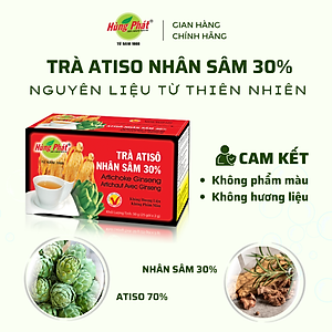 Trà Atisô Nhân Sâm Hộp 25 Gói - Thương hiệu Hùng Phát