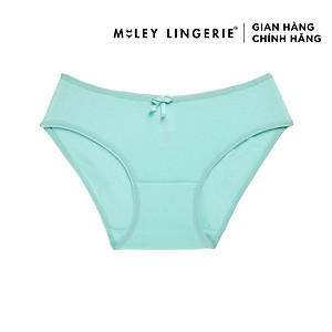 Combo 10 Quần Lót Nữ Modal Bigsize [2XL-5XL] - BCS04