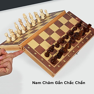 Cờ vua D Danido, bộ cờ vua nam châm bằng gỗ thông tự nhiên - Hàng chính hãng