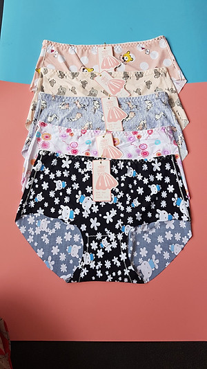 Combo 5 chiếc quần lót nữ thun lạnh chất vải co giãn 4 chiều điều hòa cực thông thoáng họa tiết 3D trẻ trung