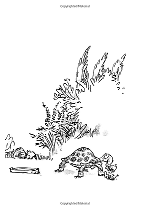 Sách Esio Trot (Roald Dahl, Illustrated by Quentin Blake)