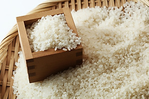 GẠO NHẬT TAWARAYA HOKKAIDO NANATSUBOSHI - GẠO TRẮNG - XÁT DỐI